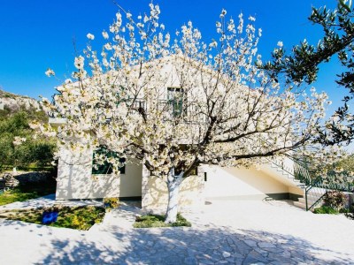 Holiday house Comfortable and spacious house with terrace and sea view Plano, Trogir K-21403 - Outdoor photo 33