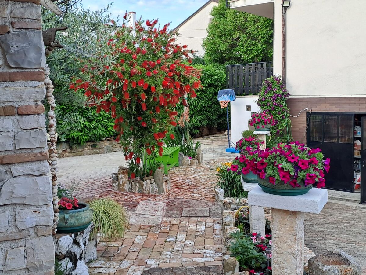 Apartment Two bedroom apartment with terrace Umag A-21460-a - Outdoor photo 4