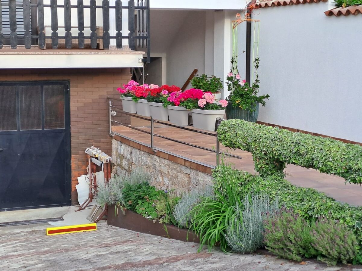 Apartment Two bedroom apartment with terrace Umag A-21460-a - Outdoor photo 5