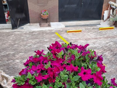 Apartment Two bedroom apartment with terrace Umag A-21460-a - Outdoor photo 8