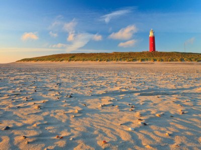 Villa Kamperfoelie 31 - Environment photo 19