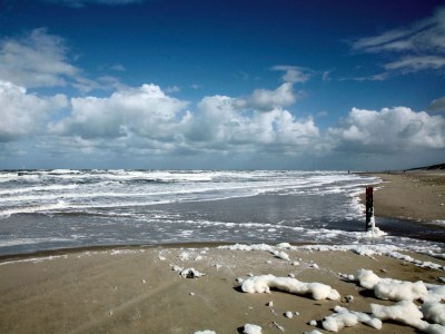 Villa Kamperfoelie 51 - Environment photo 15