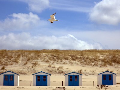 Villa Kamperfoelie 51 - Environment photo 16