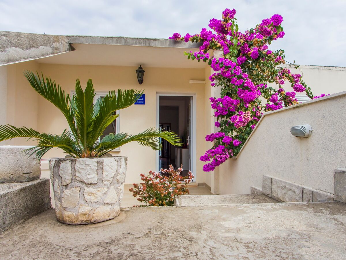 Apartment One bedroom apartment near beach Luka Dubrava, Pelješac A-24568-b - Outdoor photo 4