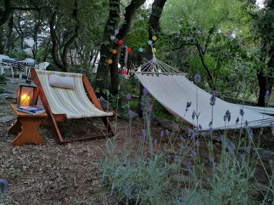 Apartment Two bedroom apartment with balcony and sea view Mandre, Pag A-24574-a in Pag - Apartment