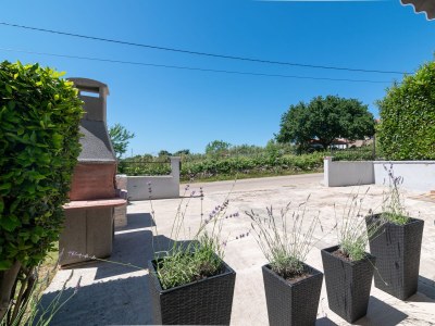 Apartment Two bedroom apartment with terrace Peruški, Marčana A-24578-a - Outdoor photo 20