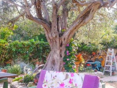 Apartment Two bedroom apartment near beach Okrug Gornji, Čiovo A-459-a - Outdoor photo 8