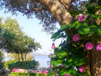 Apartment Two bedroom apartment near beach Okrug Gornji, Čiovo A-459-a - Outdoor photo 13