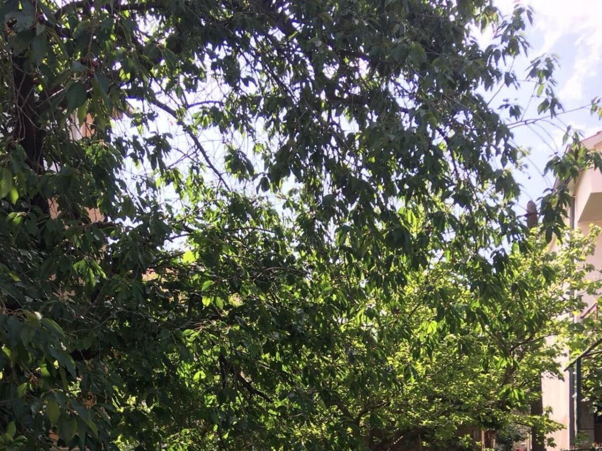 Apartment Studio flat with air-conditioning Zadar AS-24593-a