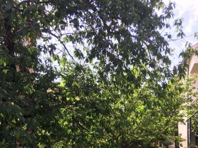 Apartment Studio flat with air-conditioning Zadar AS-24593-a in Zadar - Apartment