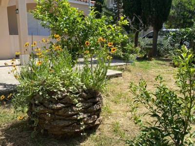 Apartment Three bedroom apartment with terrace Lopar, Rab A-24597-a - Outdoor photo 6