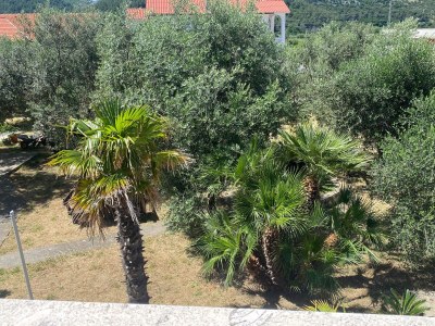 Apartment Three bedroom apartment with terrace Lopar, Rab A-24597-a - Outdoor photo 26