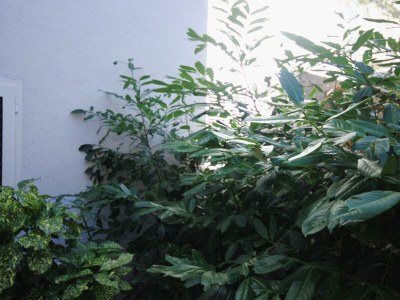 Apartment One bedroom apartment with terrace Seget Vranjica, Trogir A-978-c - Outdoor photo 21