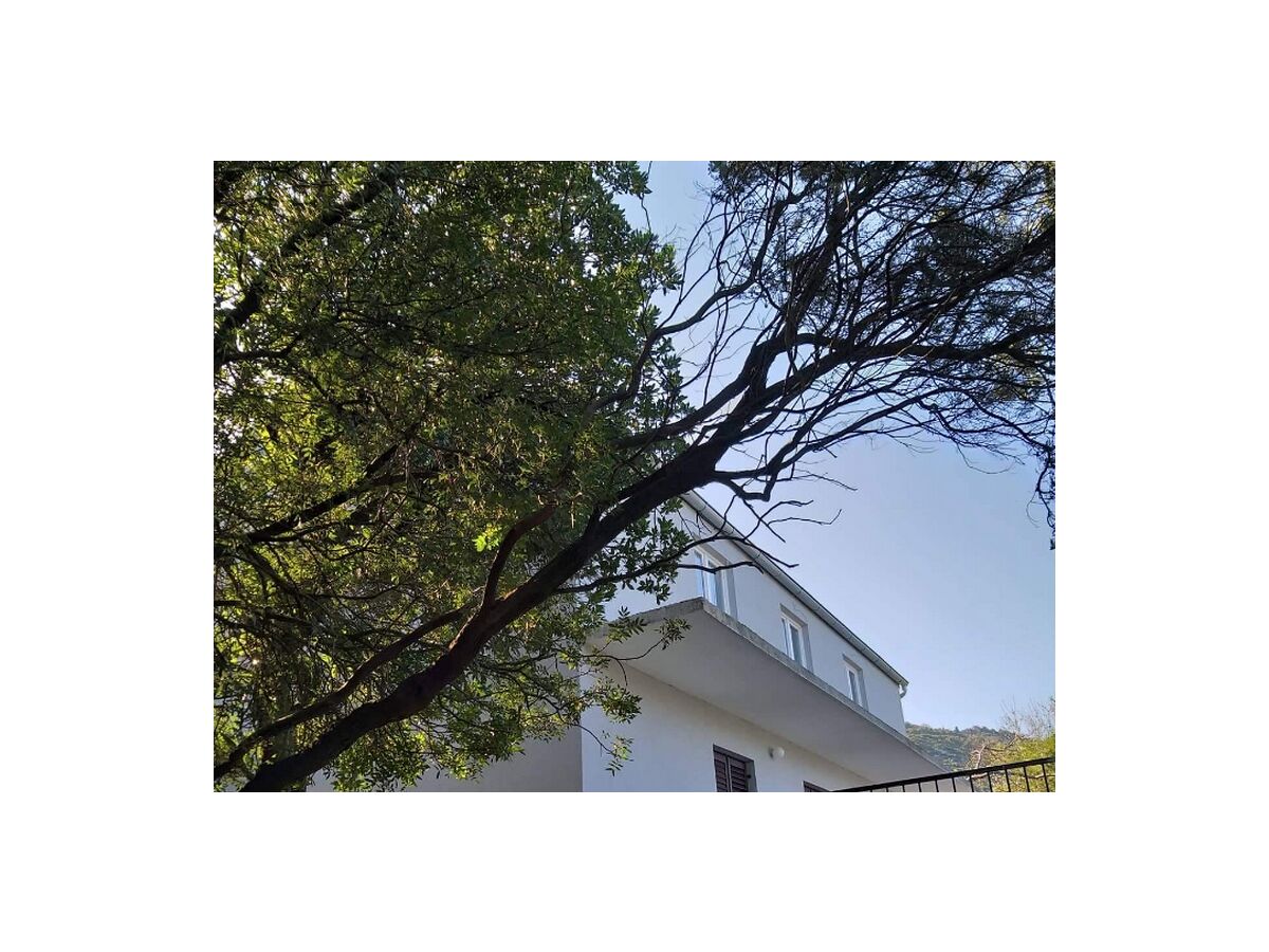 Apartment One bedroom apartment near beach Prožurska Luka, Mljet A-617-b - Outdoor photo 4