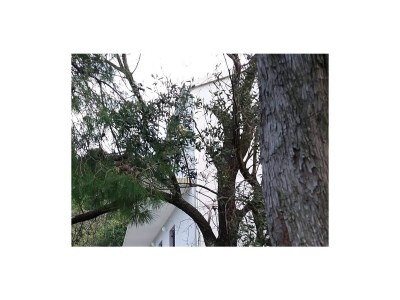 Apartment One bedroom apartment near beach Prožurska Luka, Mljet A-617-b - Outdoor photo 12