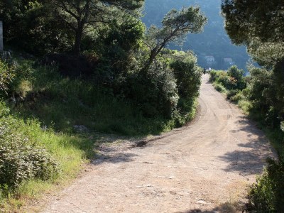 Apartment One bedroom apartment near beach Prožurska Luka, Mljet A-617-b - Outdoor photo 14