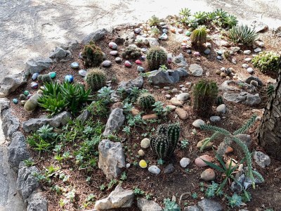 Apartment One bedroom apartment near beach Sveti Petar, Biograd A-849-a - Outdoor photo 10