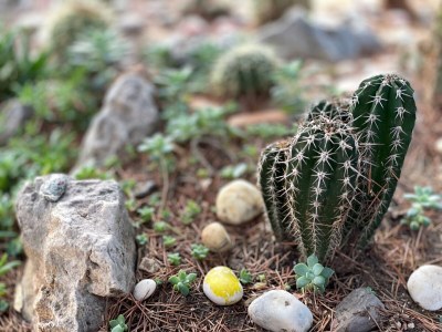 Apartment One bedroom apartment near beach Sveti Petar, Biograd A-849-a - Outdoor photo 11