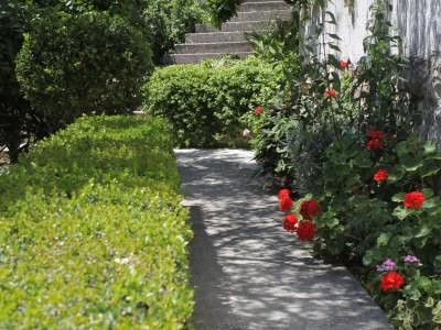 Apartment One bedroom apartment with terrace and sea view Podgora, Makarska A-2594-a - Outdoor photo 18