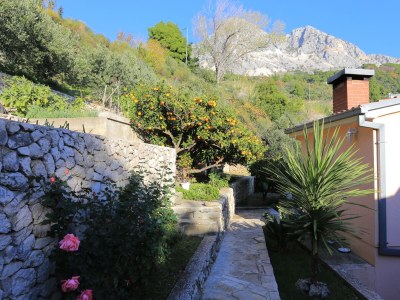 Apartment Two bedroom apartment with terrace and sea view Podgora, Makarska A-2594-b - Outdoor photo 15