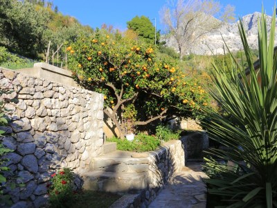 Apartment Two bedroom apartment with terrace and sea view Podgora, Makarska A-2594-b - Outdoor photo 16