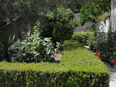 Apartment Two bedroom apartment with terrace and sea view Podgora, Makarska A-2594-b - Outdoor photo 19