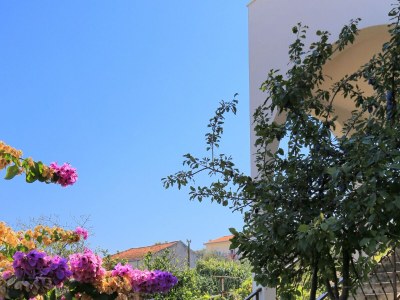 Holiday room with terrace Arbanija, Čiovo S-1125-a - Outdoor photo 11