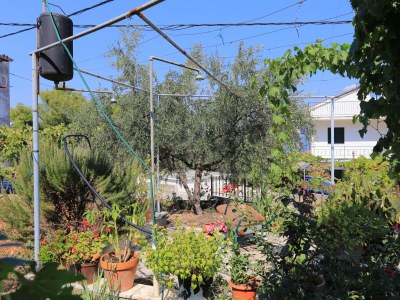 Holiday room with terrace Arbanija, Čiovo S-1125-a - Outdoor photo 12