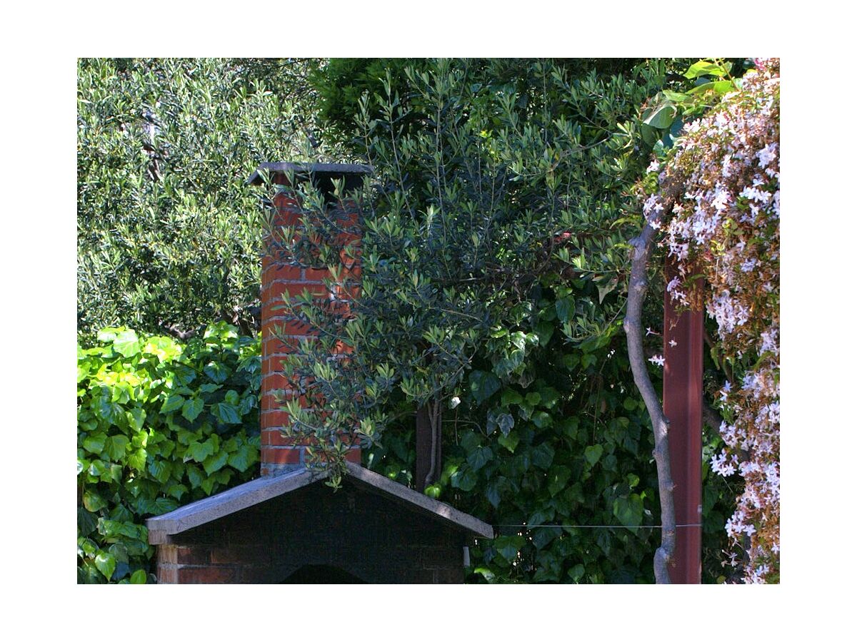 Apartment Two bedroom apartment near beach Tučepi, Makarska A-2694-a - Outdoor photo 5