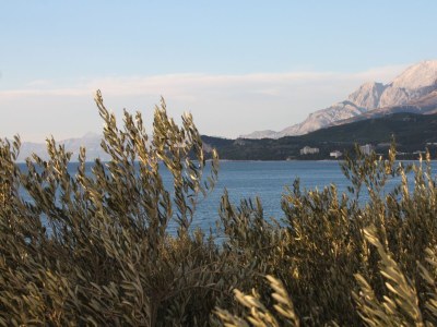 Apartment Two bedroom apartment near beach Tučepi, Makarska A-2694-a - Outdoor photo 22