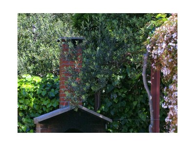 Apartment Studio flat near beach Tučepi, Makarska AS-2694-a - Outdoor photo 5