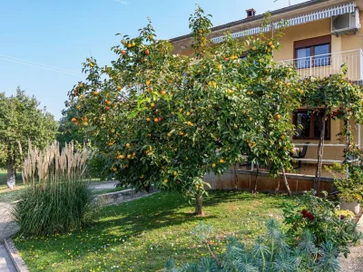 Apartment Three bedroom apartment with terrace Banjole, Pula A-2258-a - Outdoor photo 11