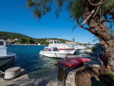 Apartment Two bedroom apartment near beach Zaglav, Dugi otok A-8170-b - Outdoor photo 7