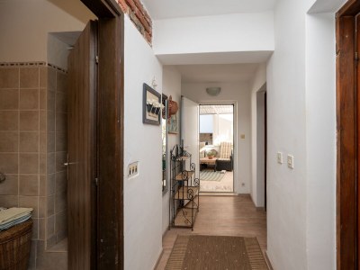 Apartment Two bedroom apartment near beach Zaglav, Dugi otok A-8170-b - Outdoor photo 36