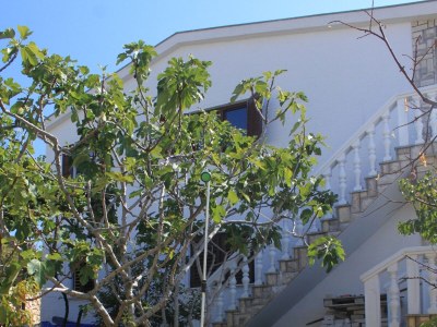 Apartment Apartments by the sea Ždrelac, Pašman - 8406 - Apartments by the sea Ždrelac, Pašman - 8406 - Outdoor photo 6