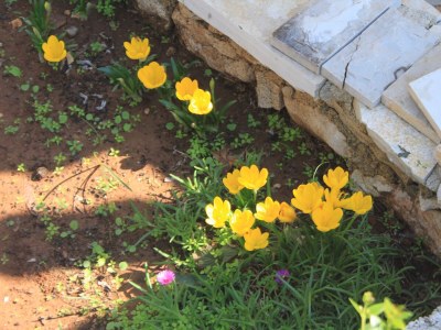 Apartment Apartments by the sea Ždrelac, Pašman - 8406 - Apartments by the sea Ždrelac, Pašman - 8406 - Outdoor photo 7