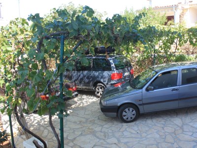 Apartment Apartments by the sea Ždrelac, Pašman - 8406 - Apartments by the sea Ždrelac, Pašman - 8406 - Outdoor photo 8