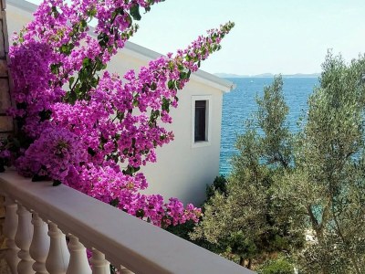 Apartment Apartments by the sea Ždrelac, Pašman - 8406 - Apartments by the sea Ždrelac, Pašman - 8406 - Outdoor photo 19