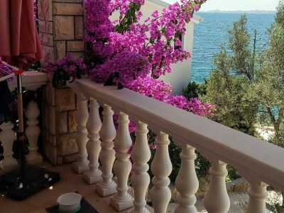 Apartment Apartments by the sea Ždrelac, Pašman - 8406 - Apartments by the sea Ždrelac, Pašman - 8406 - Outdoor photo 20