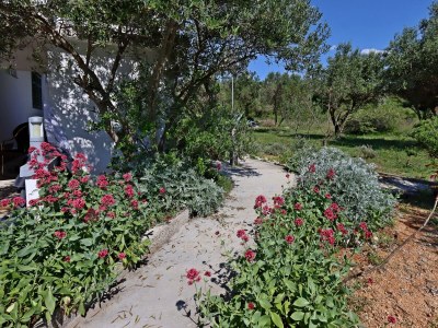 Apartment Two bedroom apartment with terrace and sea view Barbat, Rab A-14247-a - Outdoor photo 9