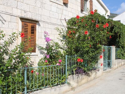 Apartment One bedroom apartment with air-conditioning Komiža, Vis A-2450-b - Outdoor photo 7