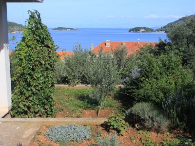 Apartment Two bedroom apartment with terrace and sea view Vis A-2470-a - Outdoor photo 7