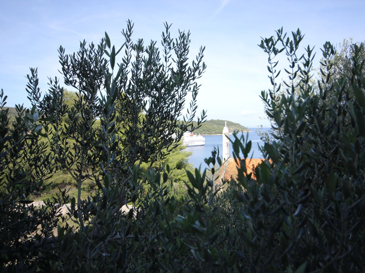 Apartment One bedroom apartment with terrace Vis A-2470-b