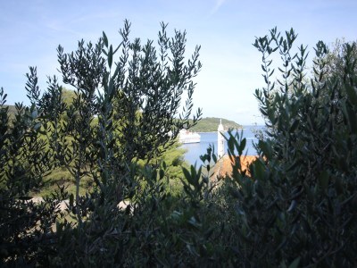 Apartment One bedroom apartment with terrace Vis A-2470-b in Vis - Apartment