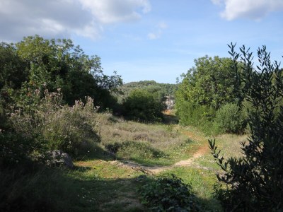 Apartment One bedroom apartment with terrace Vis A-2470-b - Outdoor photo 24