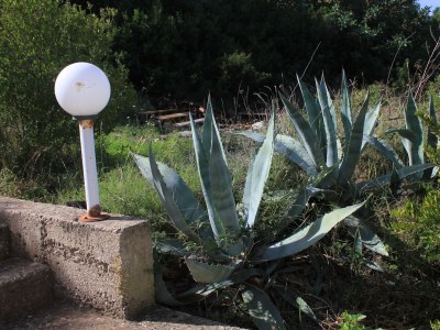 Apartment One bedroom apartment with terrace and sea view Vis A-2470-c - Outdoor photo 10