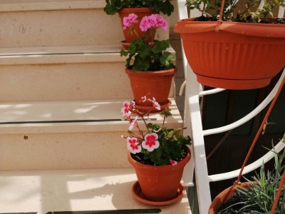 Apartment Studio flat with terrace and sea view Vis AS-2476-a - Outdoor photo 12