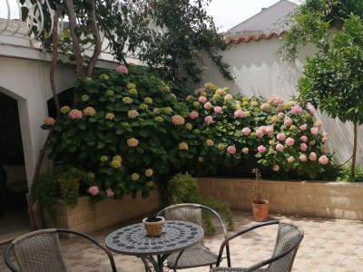 Apartment Studio flat with balcony and sea view Vis AS-2476-c - Outdoor photo 9