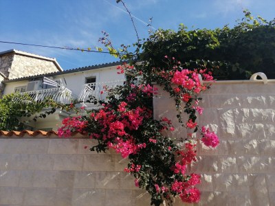 Apartment Studio flat with balcony and sea view Vis AS-2476-d - Outdoor photo 13