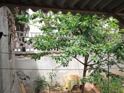 Apartment One bedroom apartment with terrace Mali Lošinj, Lošinj A-2486-a - Outdoor photo 21